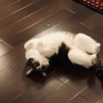 あなたが前向きになれない本当の理由