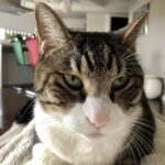 イイ人じゃなくて、イイんじゃない？