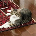 その使い方、大丈夫？デジタル機器が子どもの心の成長の妨げになるとき