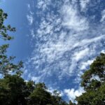 デジタルデトックスしてみて感じた、セラピー／カウンセリングとの共通項