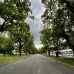 マラソンが教えてくれた自己肯定感の大切さ