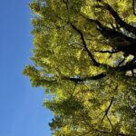 自分の至らなさや弱点を曝け出す勇気