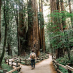 教育にもカウンセリング／セラピーにも、突貫工事は要らない！