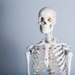 やり投げ金メダリスト北口選手に学ぶ「整えること」の意味