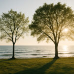 人はひとりで完結しない──家族の“波長”を感じた一日