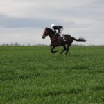 「どこで生まれたか」より「どんな経験をするか」｜『ザ・ロイヤルファミリー』が教えてくれる修正体験の力