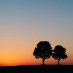 「人は関係性で傷つき、関係性で癒される」─母の一周忌で思い出した心の土台