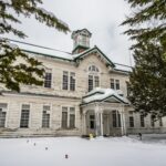 受験という競争構造の中で、自分らしさを失わないために―アリサ・リウの言葉から考える