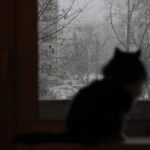 暴風雪の日を前にして考える、「立ち止まる」という成熟した判断