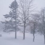 暴風雪の日に思ったこと─「耐える強さ」から「立ち止まる強さ」へ