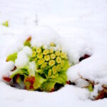 その小さな気づきを、見逃さないでください