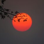 先延ばしという損失