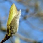 人はどう変わるのか？成長を支える「春の太陽」のような存在