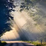 朝ドラ『風、薫る』が教えてくれた己の中の「翼と刀」のこと