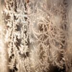 「いいこと探し」に疲れてしまったあなたへ。