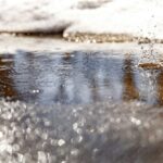 「幸せの感度」を再起動する——本来の自分へ戻る、静かなプロセス