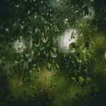 人生の解像度を上げるSlow Downという選択