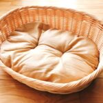 ペットロスで「このくらいで、こんなにも悲しんで」と思ったら