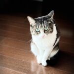 悲しんでいい理由は、外側にはない